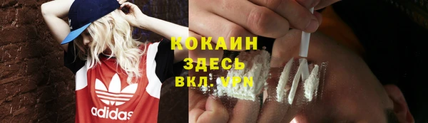 не бодяженный Ладушкин