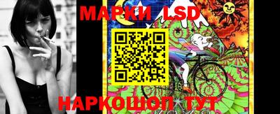 стаф Краснодар