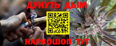 стаф Краснодар