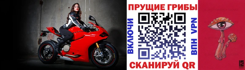 купить наркоту Шатура Псилоцибиновые грибы Psilocybine cubensis