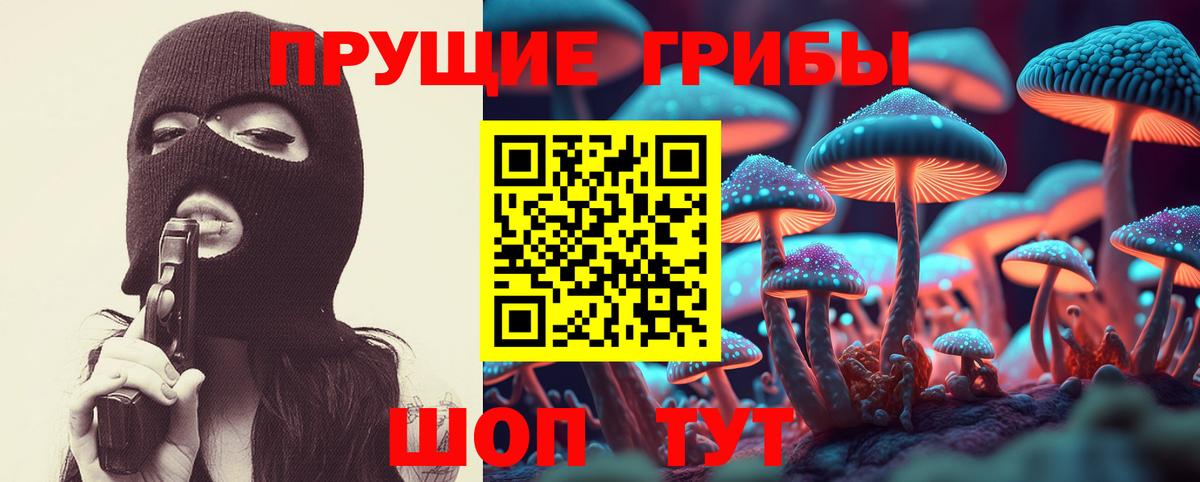 наркота  Псилоцибиновые грибы MAGIC MUSHROOMS  Вход с VPN  Шатура 