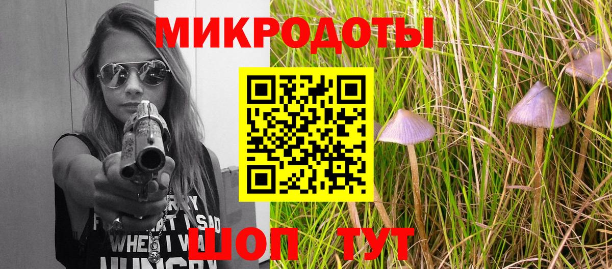 Псилоцибиновые грибы Psilocybine cubensis Шатура